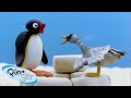 Pingu The Problem Solver Pingu Official Channel Cartoons For Kids