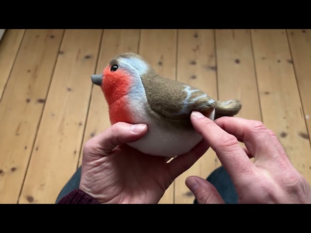 Vídeo relacionado con Peluche Wild Republic BIRD19490 RED breast, multicolor