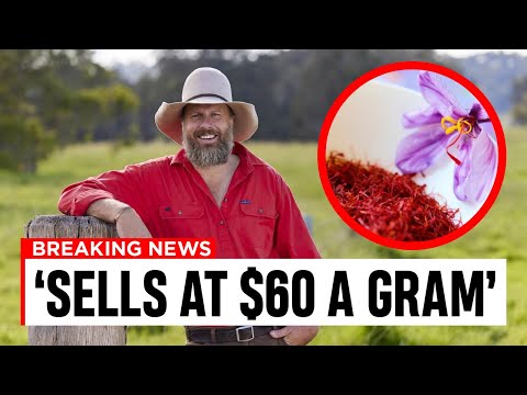 High Profit Crops That EVERY Farmer Needs To Know To Become A Millionaire!