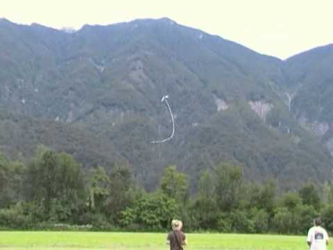 Combat enemonzo 2011