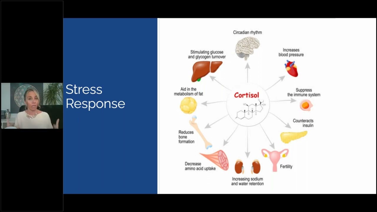 Living Longer with Stress | MedFit Webinar