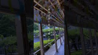 儚いピアノ曲作った。「シアワセニ」 #初音ミク #ボカロ