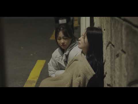 비디오 13