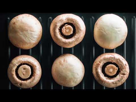 Buybrand.ru представляет MYBOX - нового участника телепроекта "Франшиза в хорошие руки"