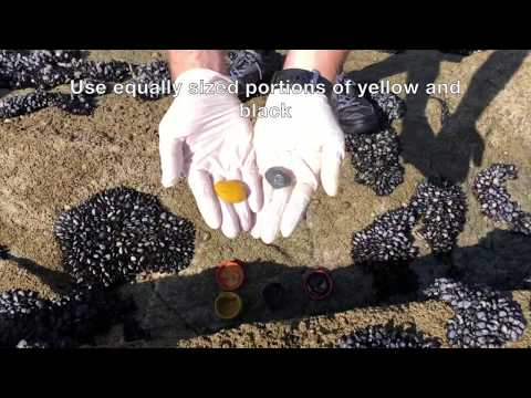 Step 2: preparing the epoxy