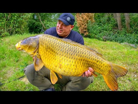 Karpfenangeln VTB 85 - Ein Tag unter Freunden am Privatsee // FAQ : Bivvy, Boilies, Leader