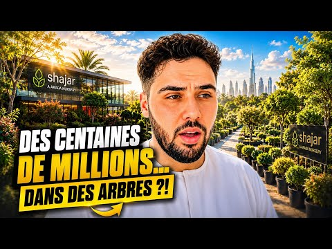 Vid&eacute;o Vision 2040 UAE
