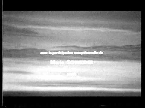 Les Nuits fauves