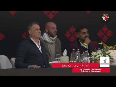 85 ELAFAAH MCA _ ABU DHABI INTERNATIONAL HORSE CHAMPIONSHIP  22 - 25 February  2024