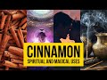 Cinnamon Spiritual And Magical Uses Yeyeo Botanica