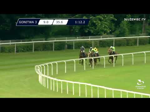 29.05.2022 - (Dzień 11; Gonitwa 3)