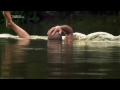 Video 'Mazlicek krokodyl'