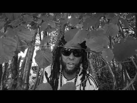 "Ancient Breeze" Joseph Lalibela meets Vibronics and The Mafia & Fluxy Band OFFICIAL MUSIC