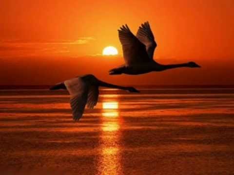 sash - together again