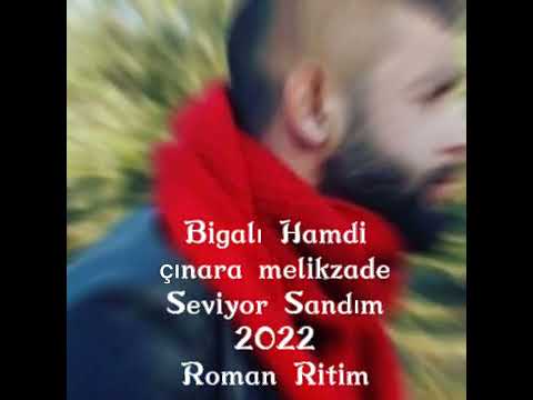 Çınara melikzade Seviyor Sandım 2022 Roman Remix