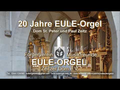EULE-Orgel  im Zeitzer Dom feiert 20. Geburtstag