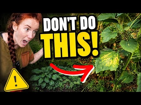 Avoid These 7 Fall Gardening Errors Before Winter Arrives