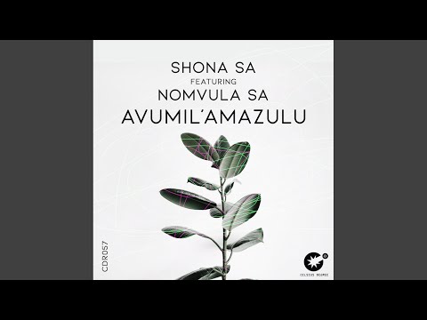 Avumil'Amazulu (Original Mix)