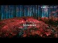 Meenamma WhatsApp Status