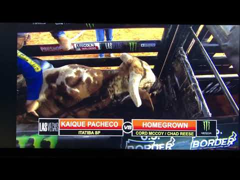 Kaique Pacheco vs Homegrown - 21 PBR Okeechobee (91.25 pts)