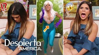 Francisca Lachapel enseña el ‘bra’ al fallarle el disfraz en vivo