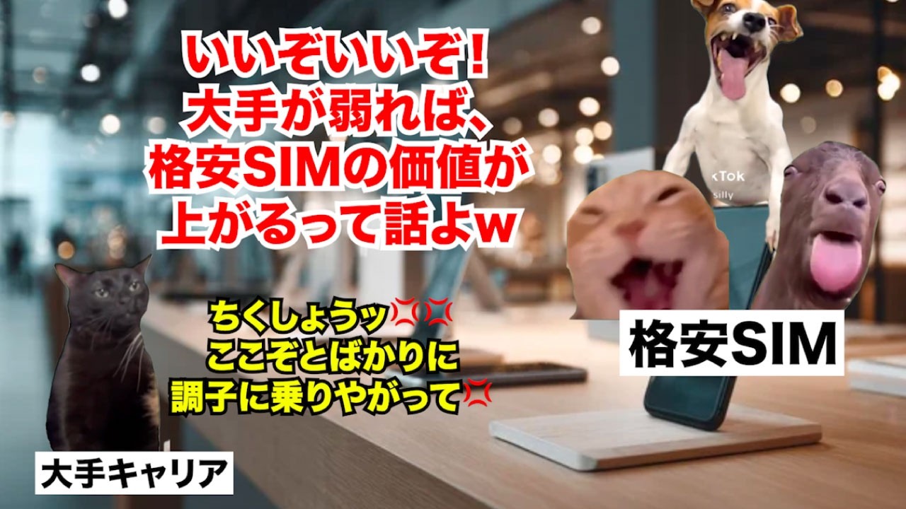 【格安SIM】安さのメリット消滅で解約ラッシュ！？大手キャリアの逆襲で虫の息になった通信サービス #猫マニ #猫ミーム