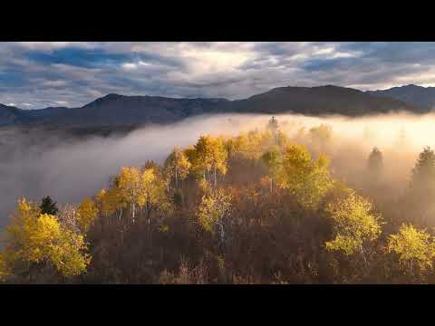 EVGENIY CHUMAK — October Blues