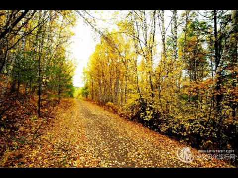 Joanie Madden：The Level Plain (Magh Seola).愛爾蘭風笛