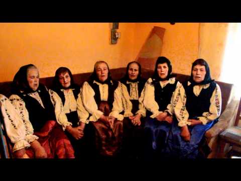 tri pacurarasi ceanu mare 17 aprilie ziuadecj ro 1