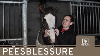 De peesontsteking van haar pony verdween!