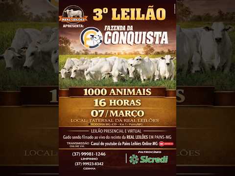 3º Leilão Fazenda da Conquista - Real Leilões - Pains MG