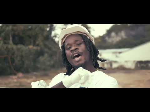 Rodias feat Lil Lyan   Débrouillard Clip Officiel