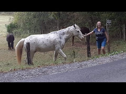 Cades Cove in Townsend, Tennessee