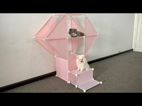 Making Pomeranian Puppy House (DIY) - Building Dog Cat House - Cat Tree - Mr Pet Family