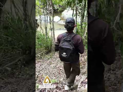 ¡Prepárate para vivir una aventura única! Ocaña norte vivir este paraíso .Contáctanos 315 7718151