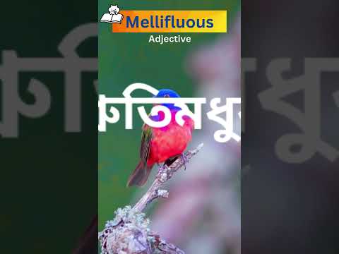 শ্রুতিমধুর I Word of the Day I Mellifluous   #newvocabulary #improveyourvocabulory