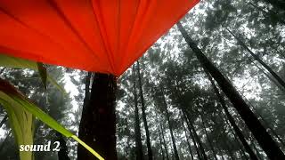 Download lagu sound effect hujan lebat dan gerimis | no copyright and free royalty. mp3 Download lagu sound effect hujan lebat dan gerimis | no copyright and free royalty. mp3