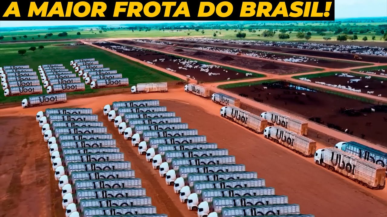 AS 7 MAIORES FROTAS DE CAMINHÕES DO BRASIL - QUANTOS VEÍCULOS?