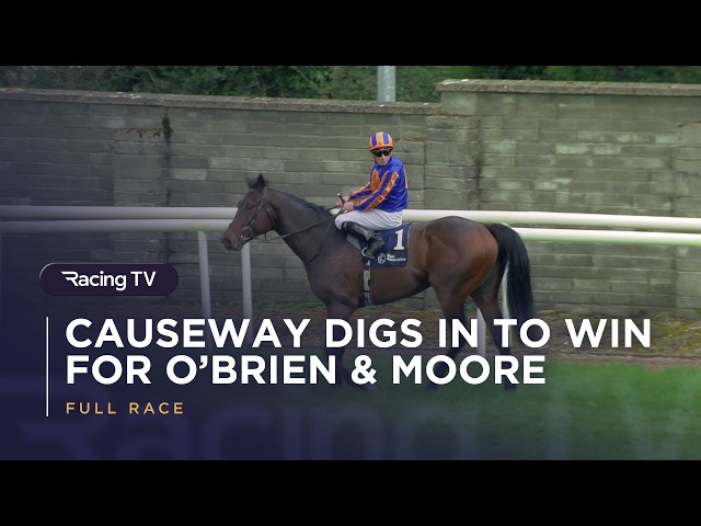 Thumbnail for Post ID: jY0krGRxJXY