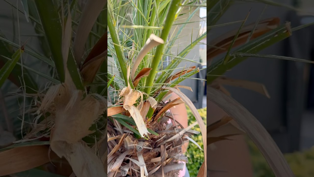 It’s about going within #feelings #spirituality #foryou #love #tarot #psychic #tarotreading #lucky