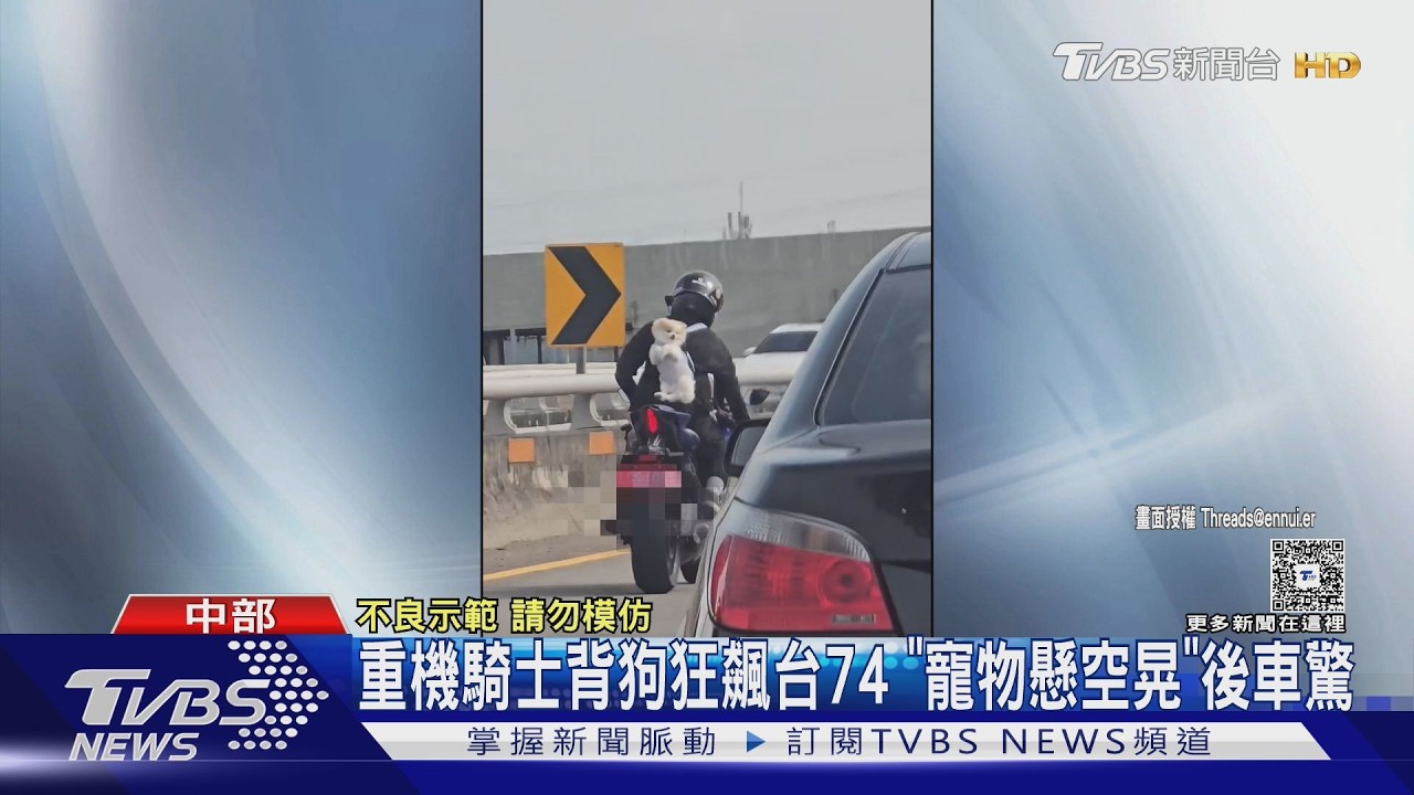 影音／重機騎士背狗狂飆台74！「寵物懸空晃」後車驚：心臟要跳出來