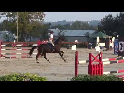Julia Dąbrowska i Desand 130cm