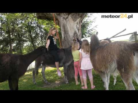 Agroturystyczne Gospodarstwo Ekologiczne - Ciche meteor24.pl