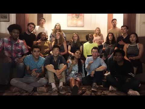 Might Not Like Me (opb. Brynn Elliott) – The Harvard LowKeys