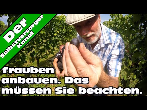 Verletzungen in den Kniegelenken Zyste in den Hüftgelenken