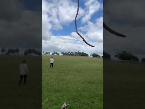 Corral de Palmas, Palmar de Castillos, Rocha, Uruguay