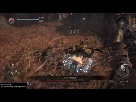 Nioh: Tachibana Spear Exploit.