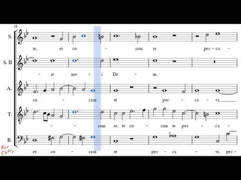 Choir/chór Duarte Lobo - Pater peccavi - Alto + score