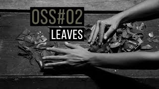 OSS#02: leaves