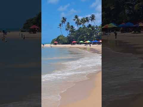 #PraiaDoCoqueirinho ☀️🌊🌴⛱️ #Conde #Paraiba